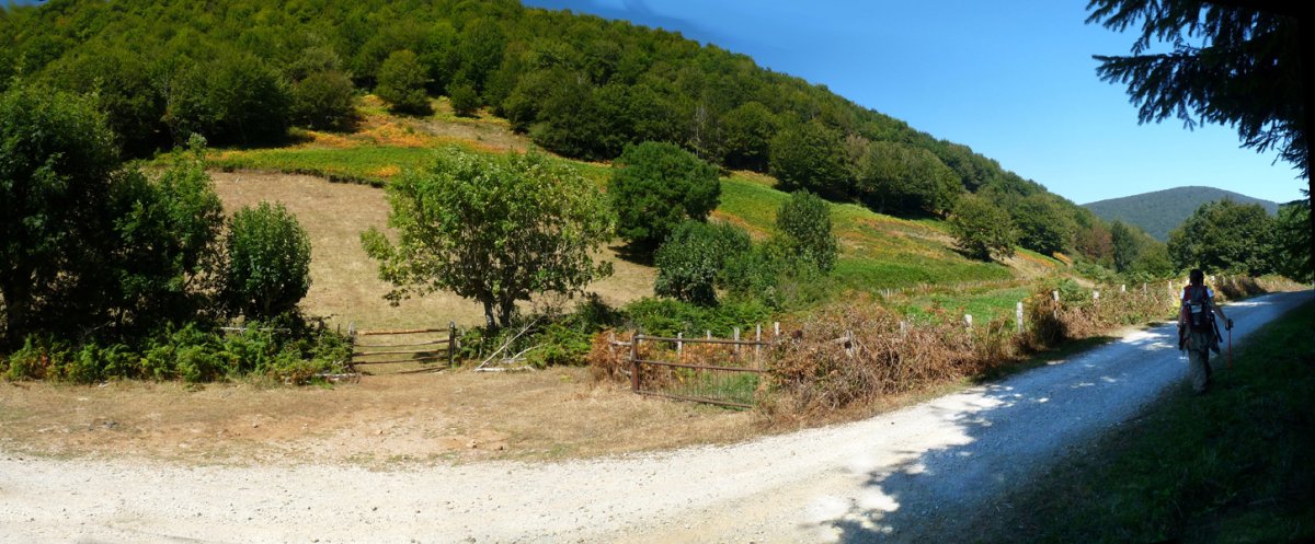 Arrarasbidea, Karateko lepoan 