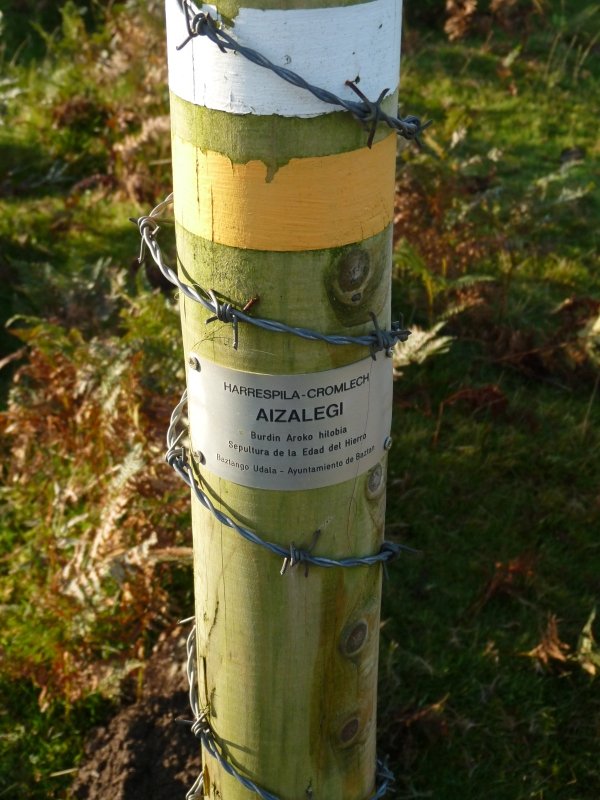 Larrakagaña-Aizalegi