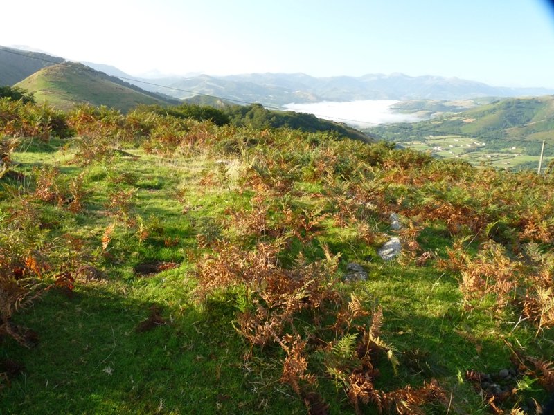 Larrakagaña-Aizalegi