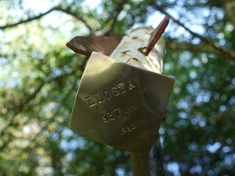 Txartelontziaren ipurdia