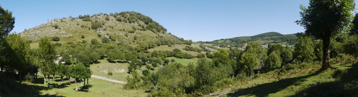 Elosta aldetik ikusita