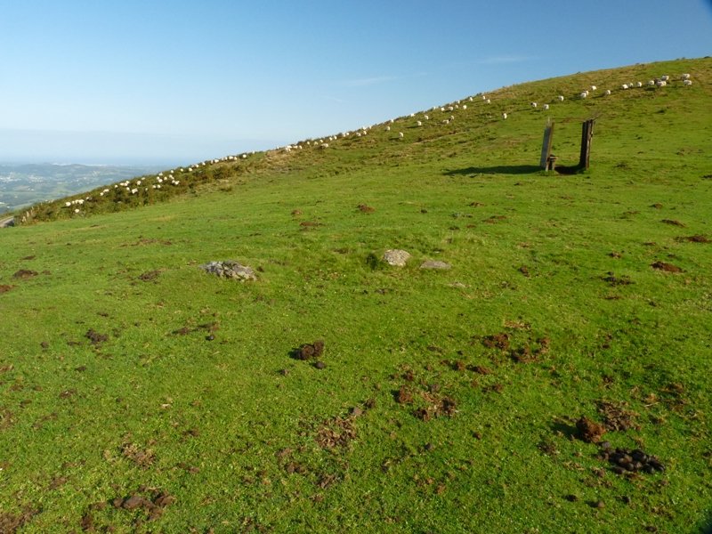 Buurdiko lepoa harrespila