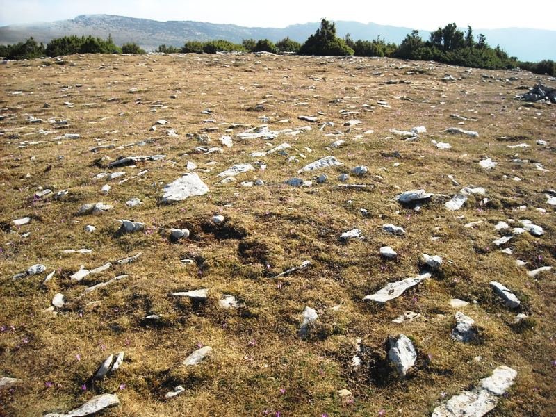 Irunsarioko Bidea hego