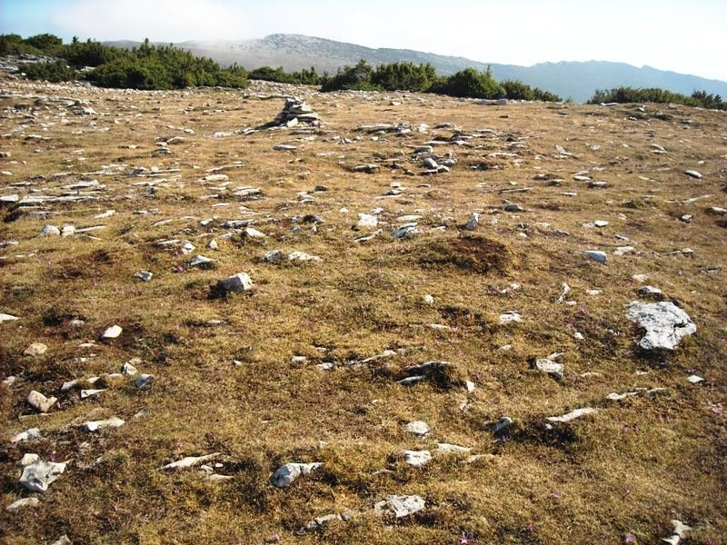 Irunsarioko Bidea ipar