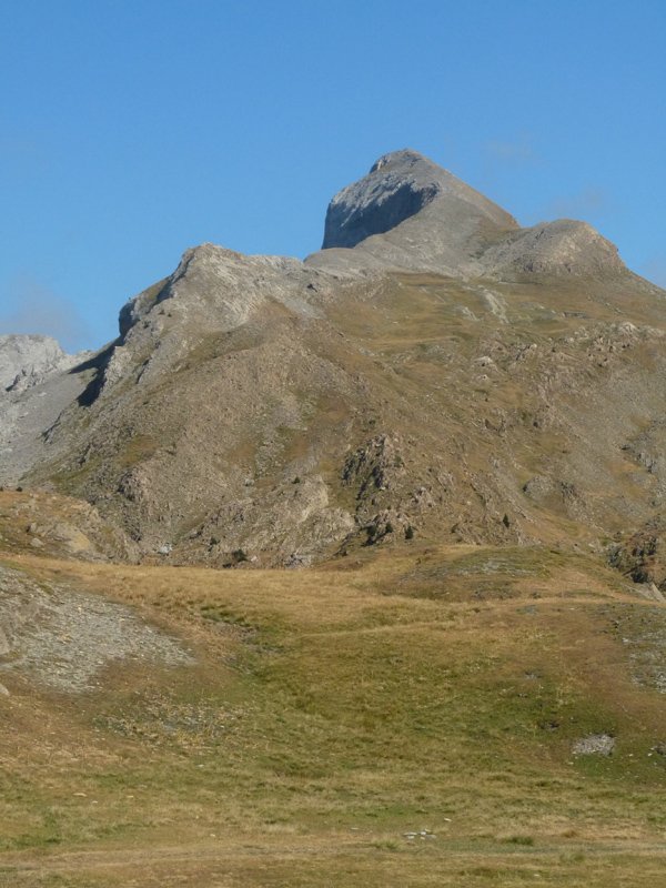 Petrechema Solanatik