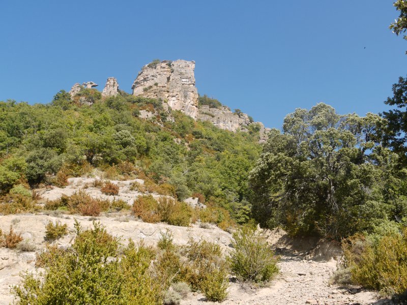 Behe aldetik ikusita, Cerradako bidetik