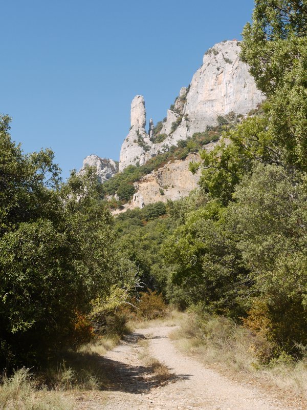 Castellar aldeko ikuspegi bat arrobiko bidetik