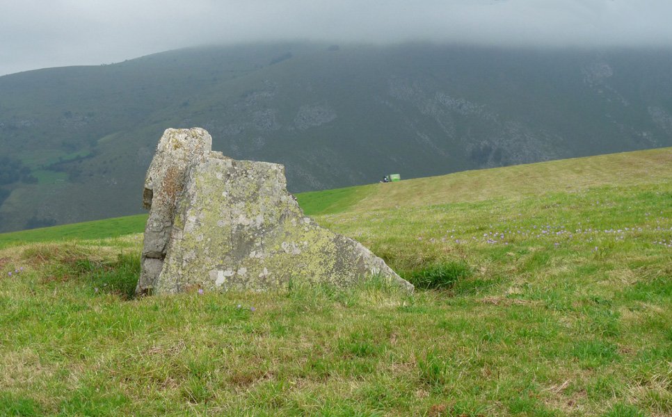 Armiagako trikuharria