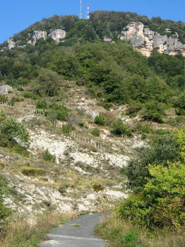 Kontrasta aldeko ikuspegia