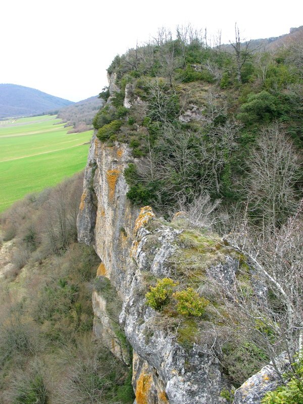 Sabando gaineko burkailak