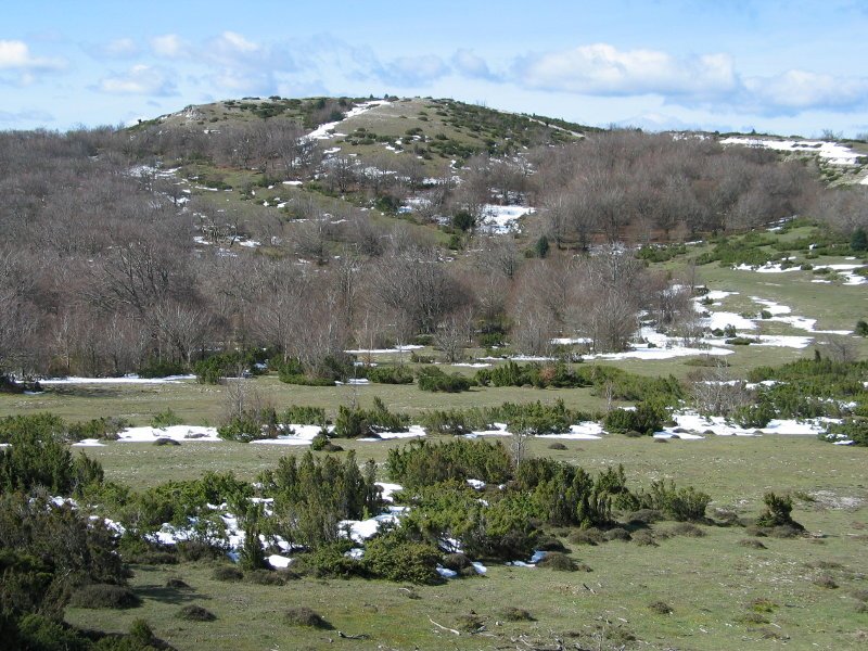 Iparraldeko isurialdea