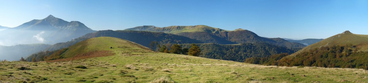 Paisaia zabala Lepo Txipiatik