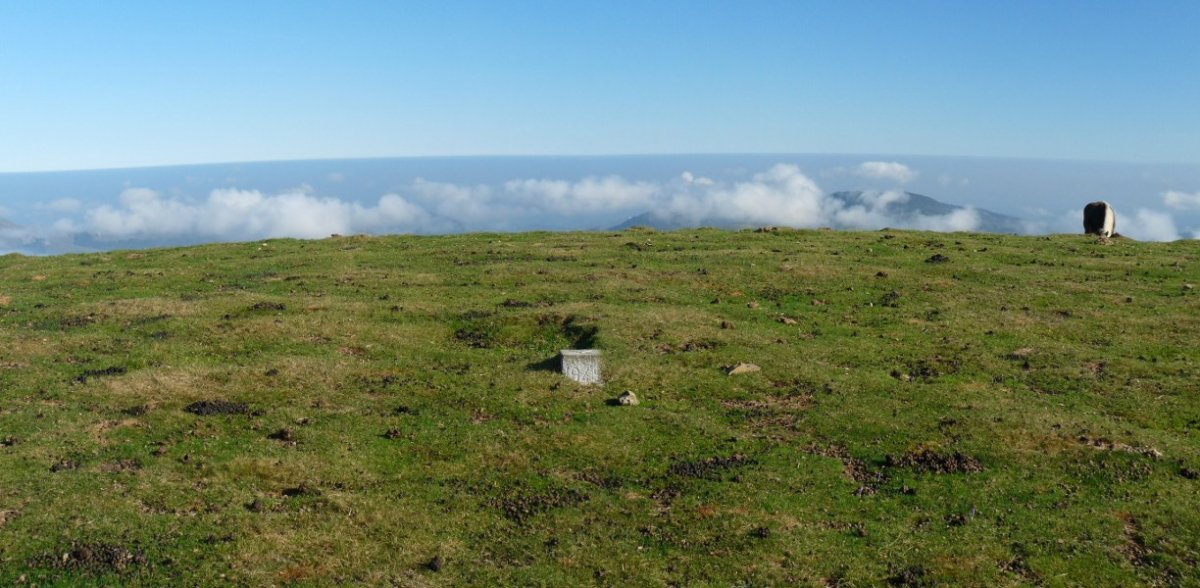 Arthanolatzeko gailurra