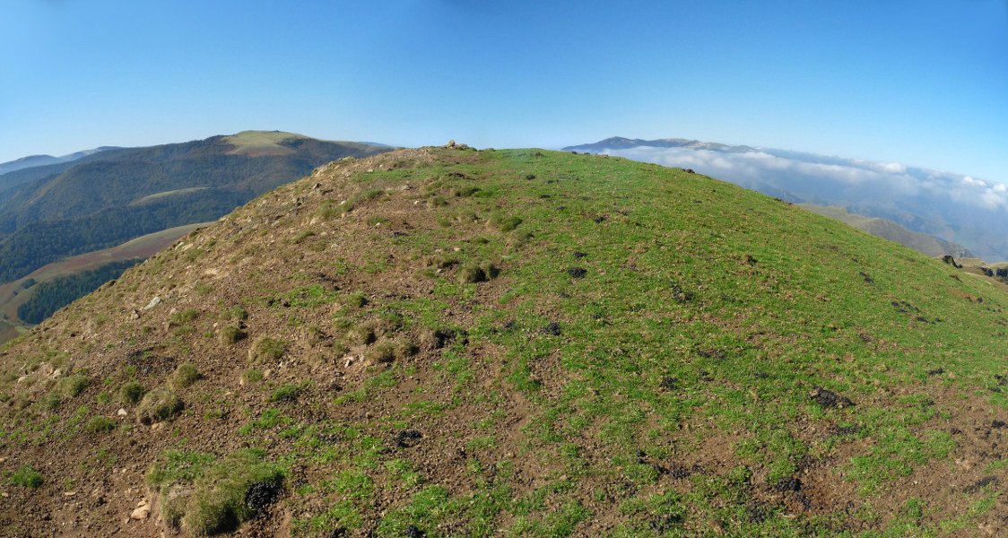 Mendibeleko gailurra