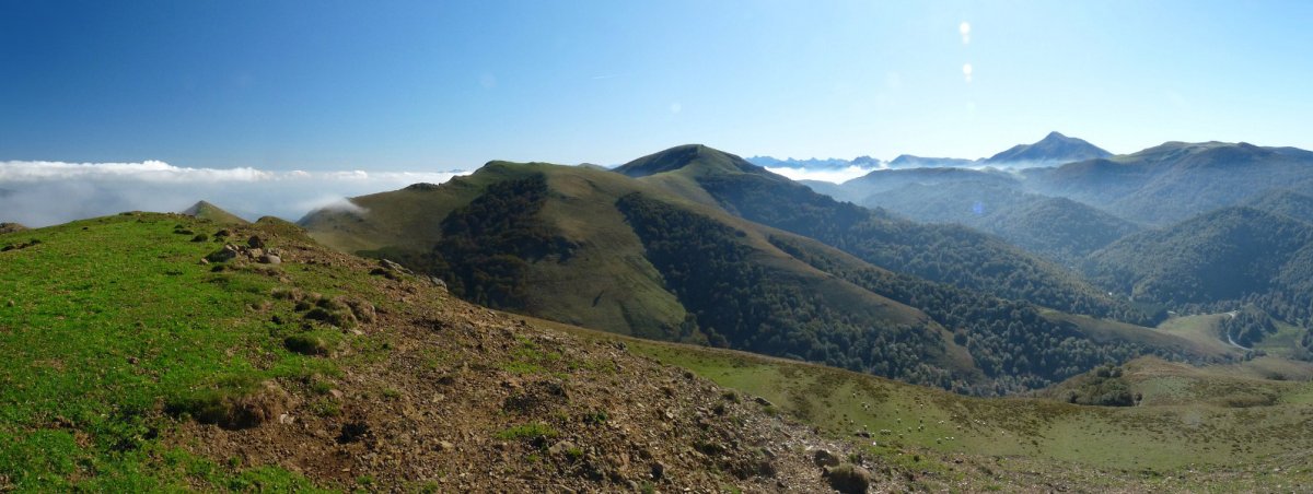 Mendibeleko gailurra eta Hartsüdürra