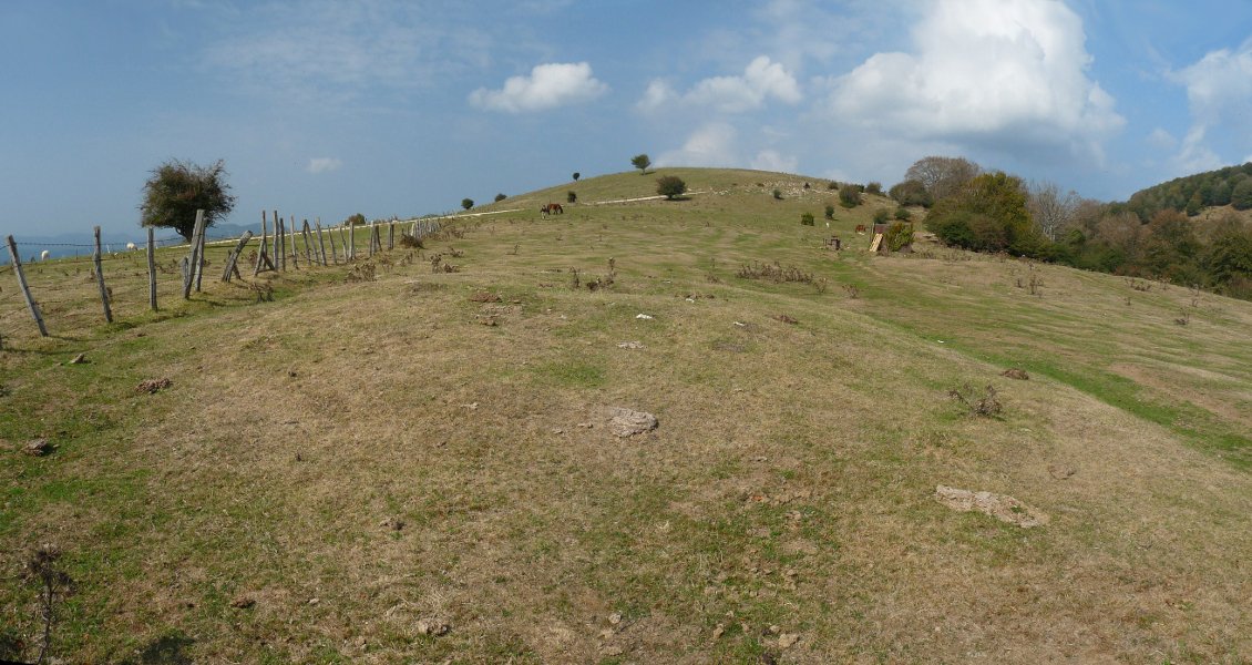 Mugarriko trikuharria, Astobia eta Bagoandieta artean