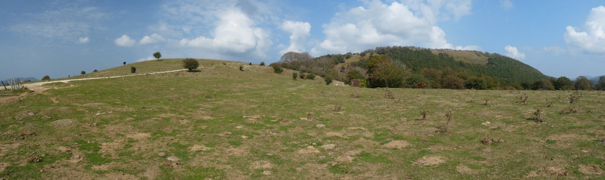 Astobia eta Iretako Gain 