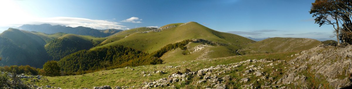 Hauskoa Zabozeko bidetik