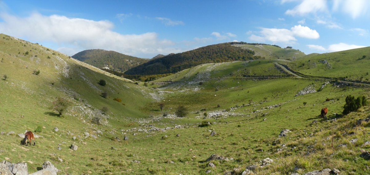 Harruskoako lepoko larre ederrak 