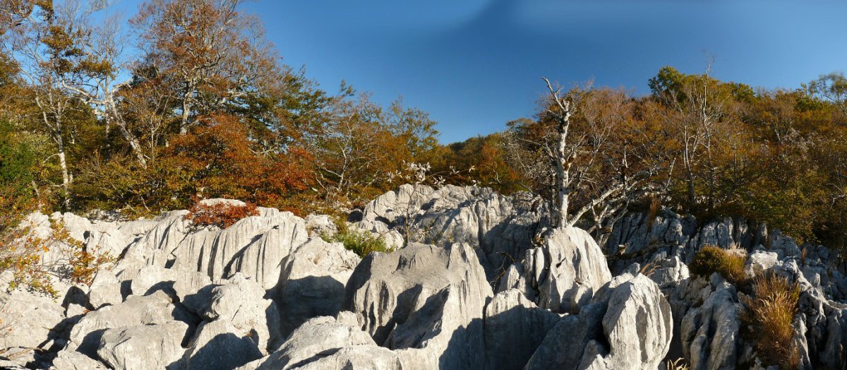 Zeharkatu ezinezko lapiaza