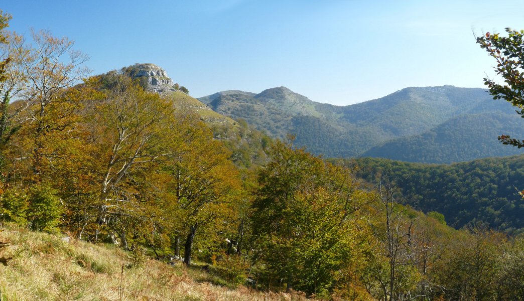 Zabozeko dorrea basoko argiune batetik