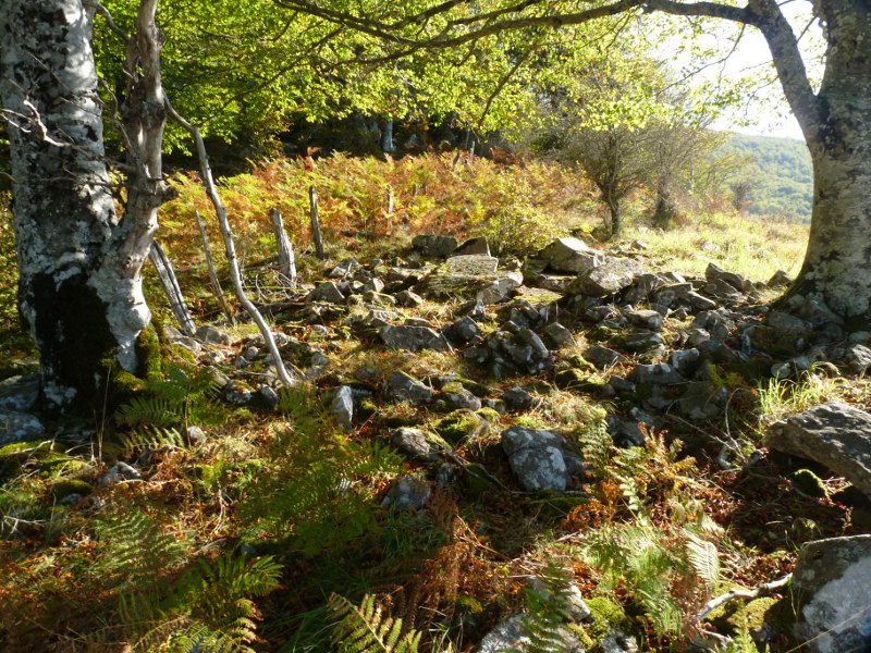 Arbaieta Ekialde (Arballeta 4)