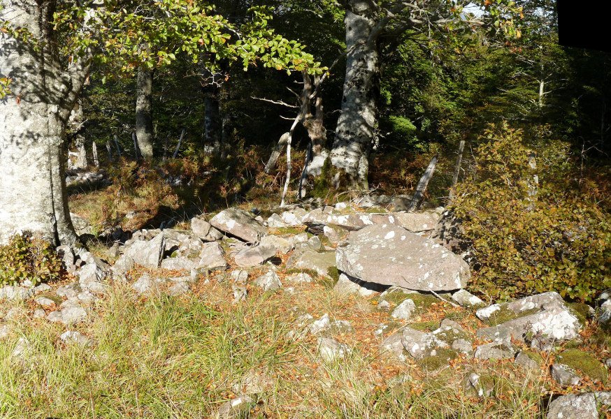 Arbaieta Ekialde (Arballeta 4)