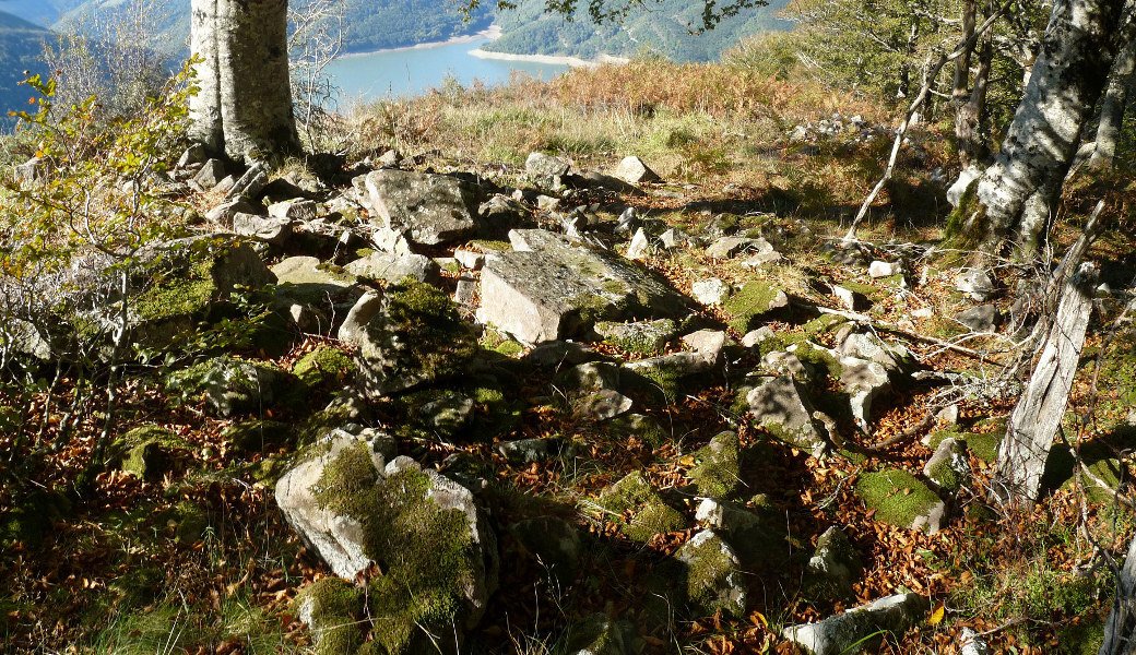 Arbaieta Ekialde (Arballeta 4)