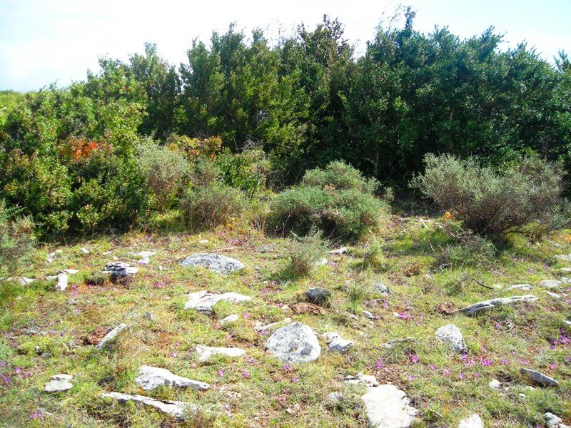 Majada  Sarbil  hego