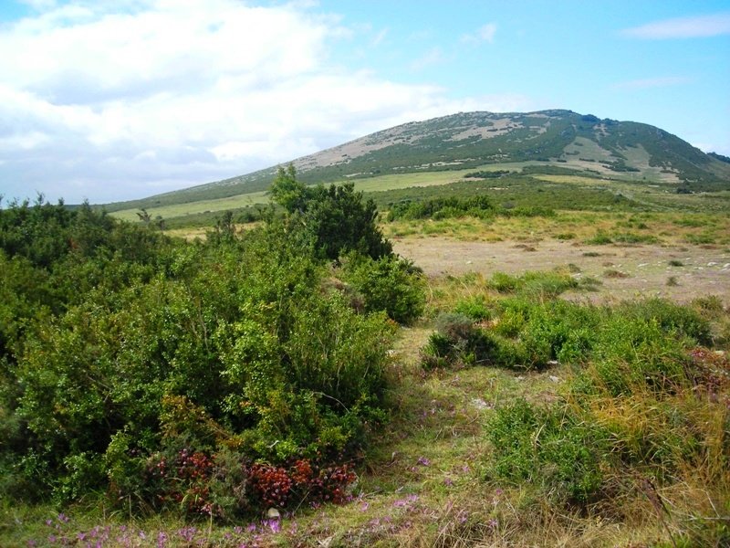 Majada Sarbil ekialde 2