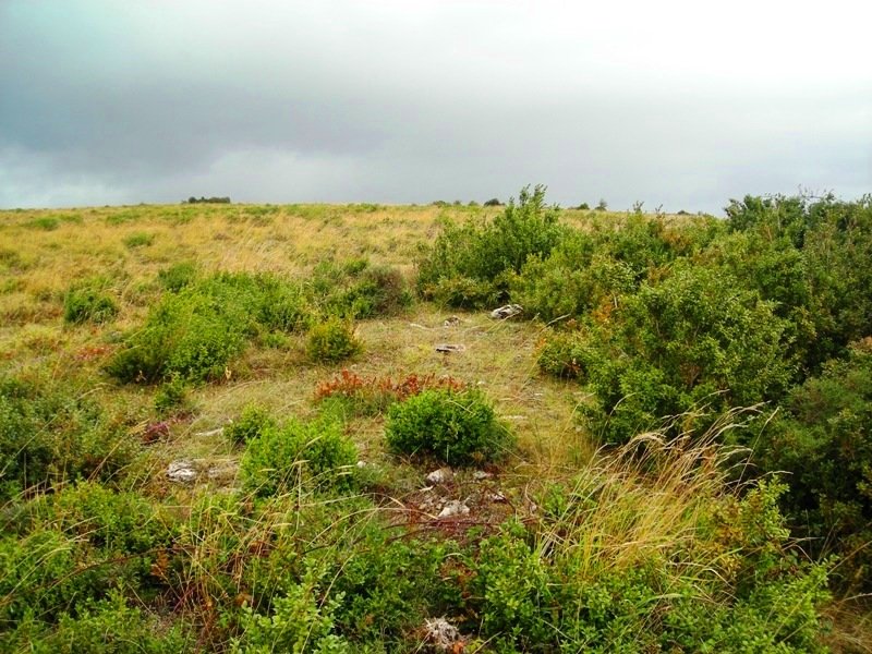 Majada Sarbil ekialde 2