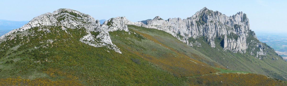 Recilla eta Palomares Cervera aldetik