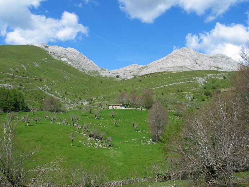 Hegoaldeko isurialdea