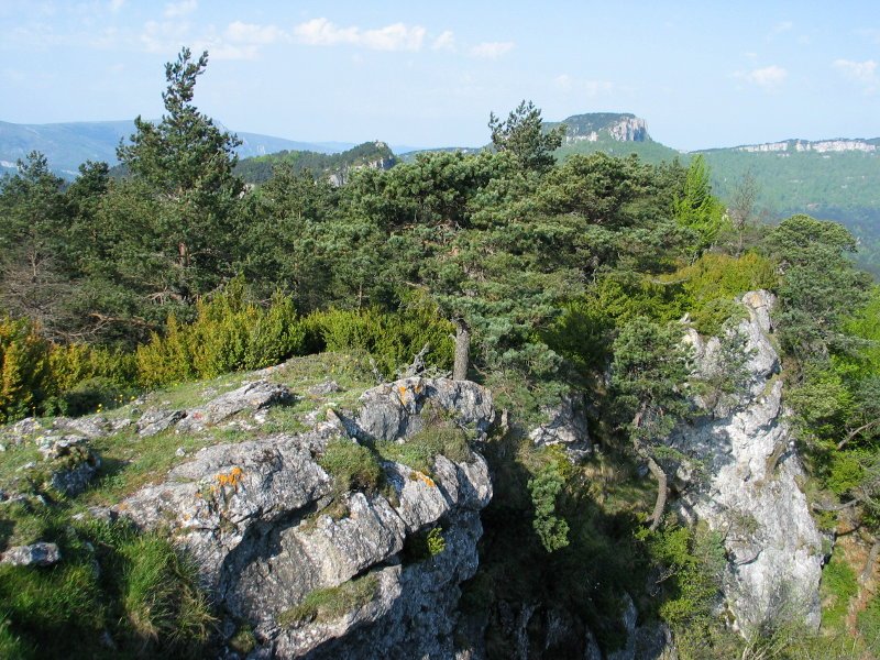 Mendebaldeko gandorra tontorretik