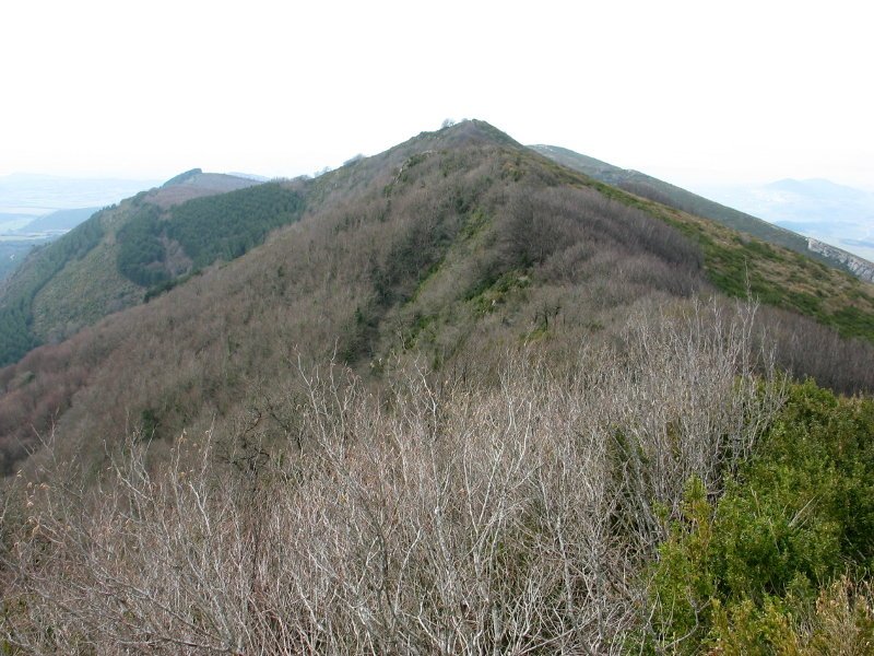 Carrascal ekialdetik