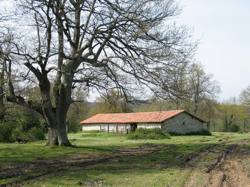 Borda Gordoa aldeko bidean