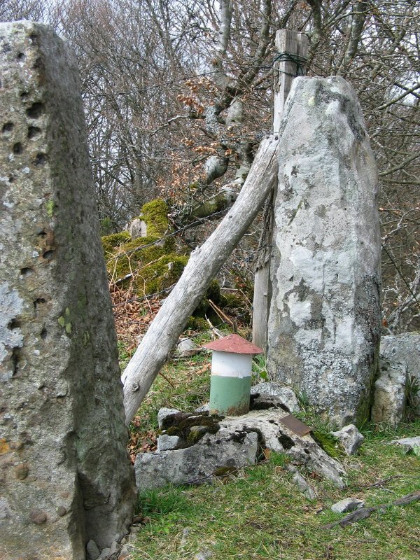 Oburuko txartelontzia, mugarrien artean