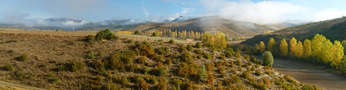 Urraul Goiti, Ugarrongo arroilaren hasieratik