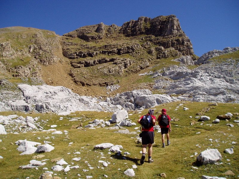 Las Llanas inguruan tontorrera bidean