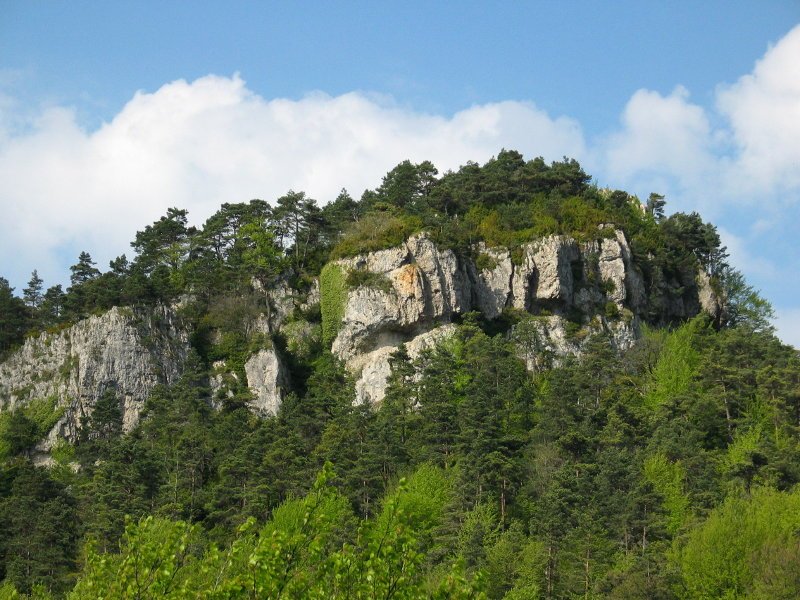 Castro Mayuela-ko burkailak