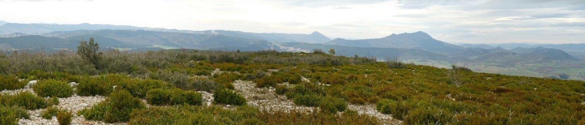 Panorama zabala gailurretik mendebalderantz