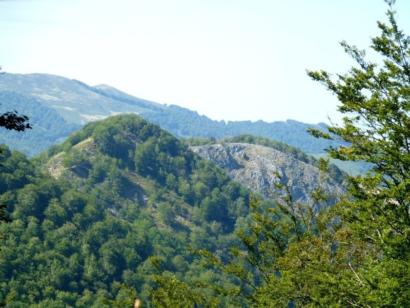 Uztartza eta Artzeleta 