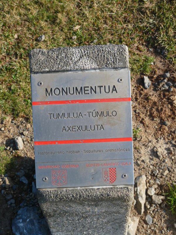 Axexuluta, adierazgarria