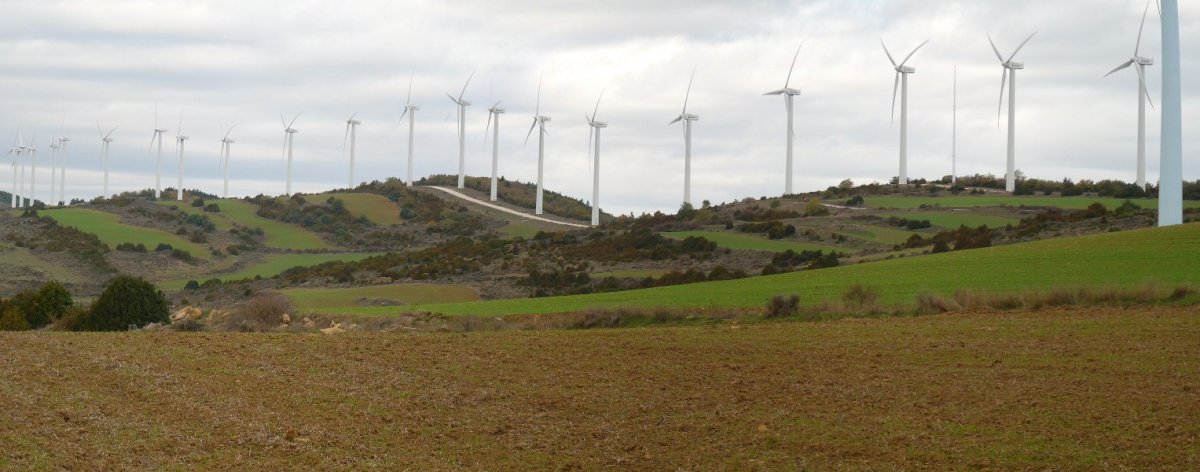 Izkoko gainak, haizerrotek hartuta