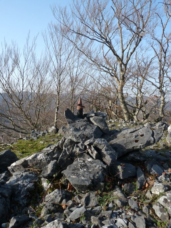 Intsusako Harmala, gailurra