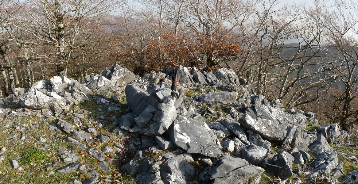 Intsusako Harmala, gailurra