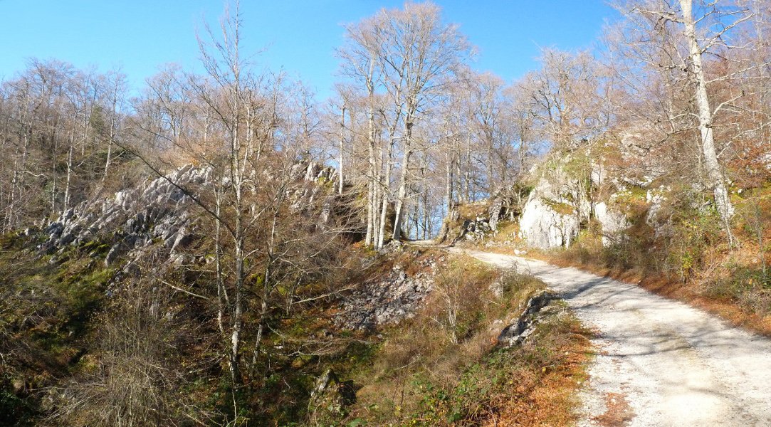 Baraibat eta Guardetxearen arteko errepidetik abiatzen den bidea