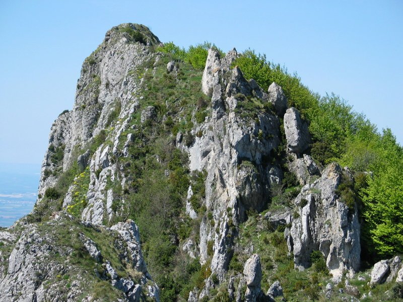 Tontorra ekialdetik, Castillo de Vallehermosa-tik