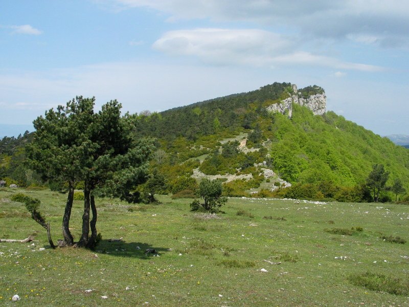 Ekialdeko isurialdea