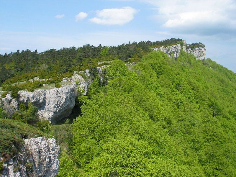 Ekialdeko isurialdea